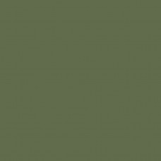 G-116/RW зелёный матовый 600x600x10