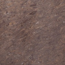 G-630/P коричневый 600x600x10