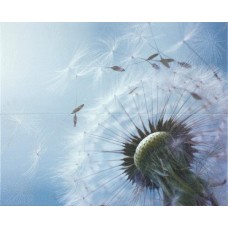 Декор настенный Unicer Mistic Комплект (2 шт) 47x58