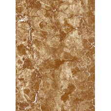 Низ 250*350