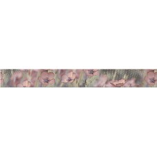 Avellano Border "Verano" 505x62
