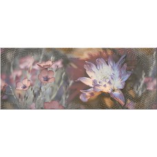 Avellano Decor "Verano" 1 505x201