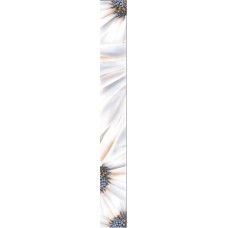Ethel Border "Camilla"  505x62