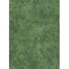 Кодры спутник 200х300