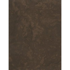 Рашель коричневая настенная низ 250х330